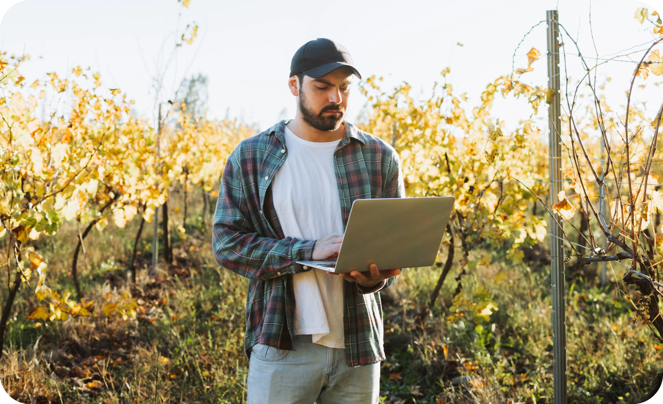 respuesta a la pregunta ¿Qué es el internet satelital y cómo funciona?